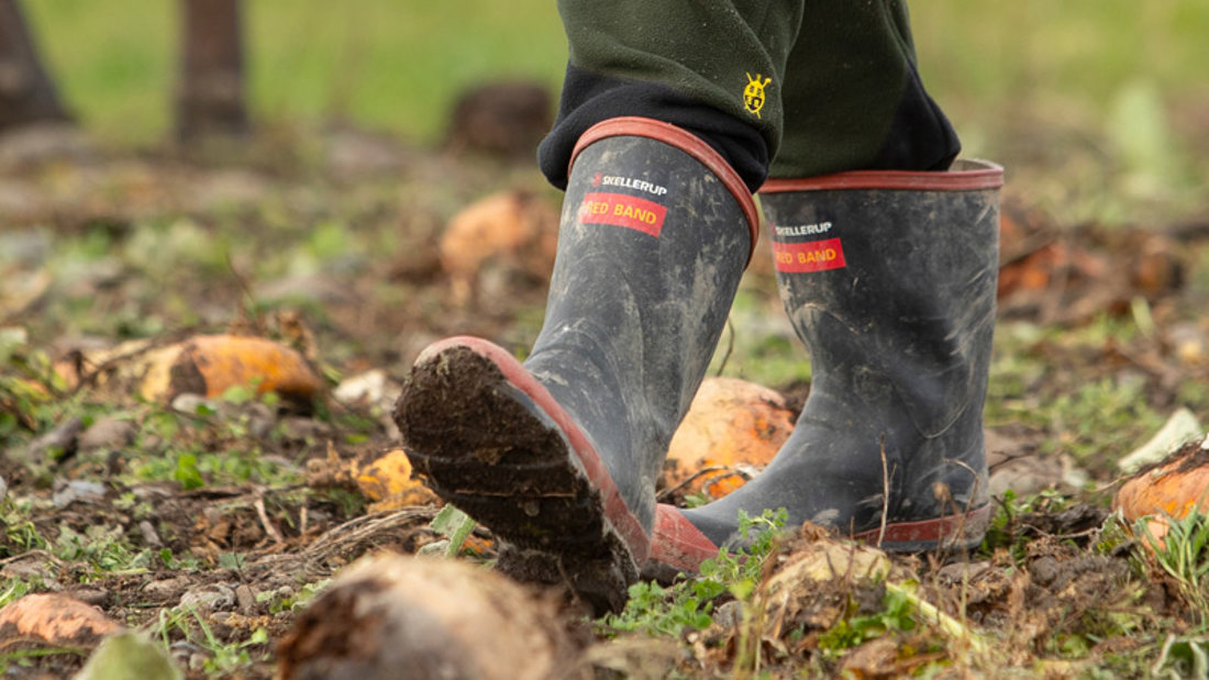Managing Your Farm Footprint - Dairy Training Limited