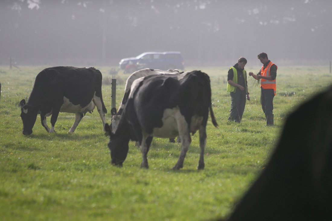 NextGen Dairy farmers